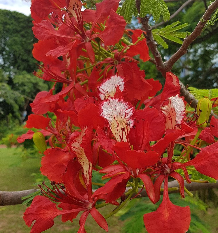 福康寧公園景点图片