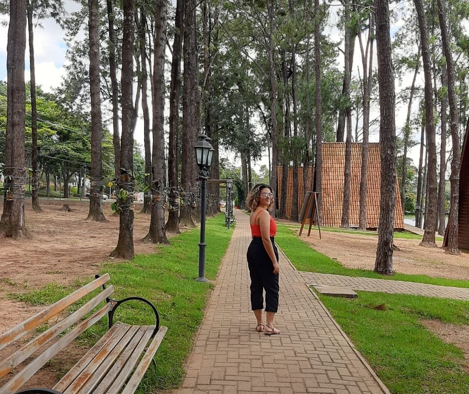 Parque Van Gogh景点图片