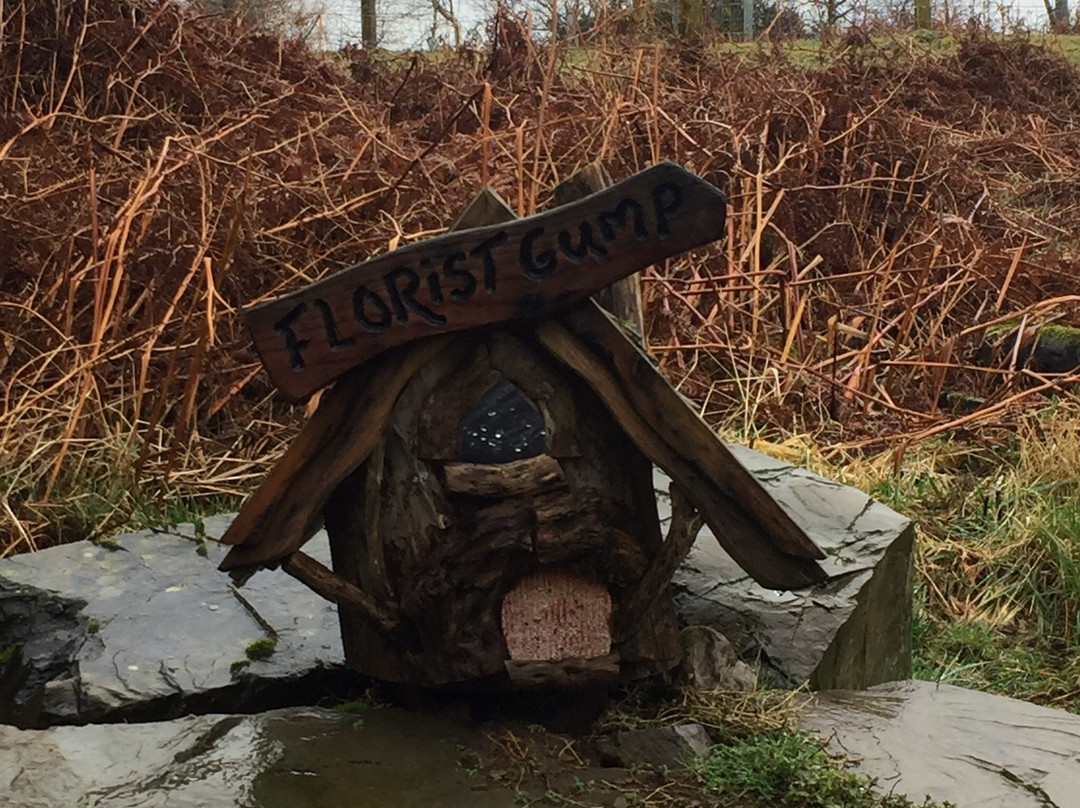 The Galloway Faerie Trail景点图片