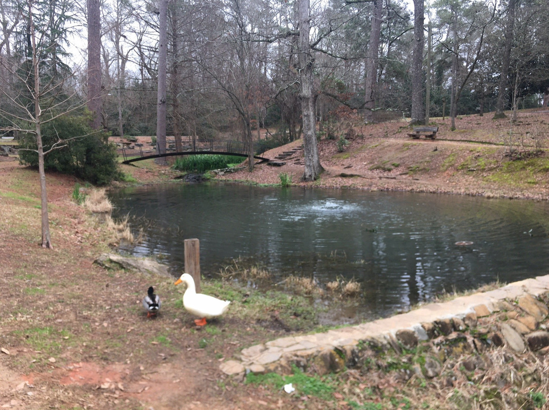 Academy Springs Park-卡温顿必去景点