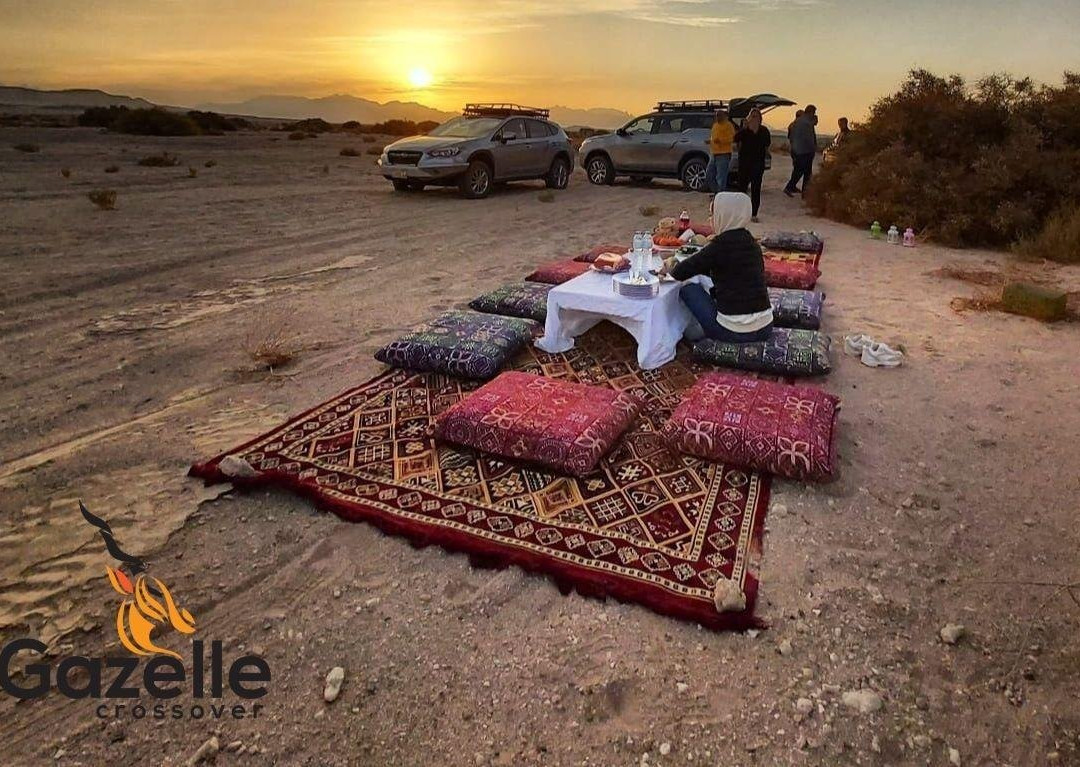 Gazelle Crossover Safari-艾高娜必去景点