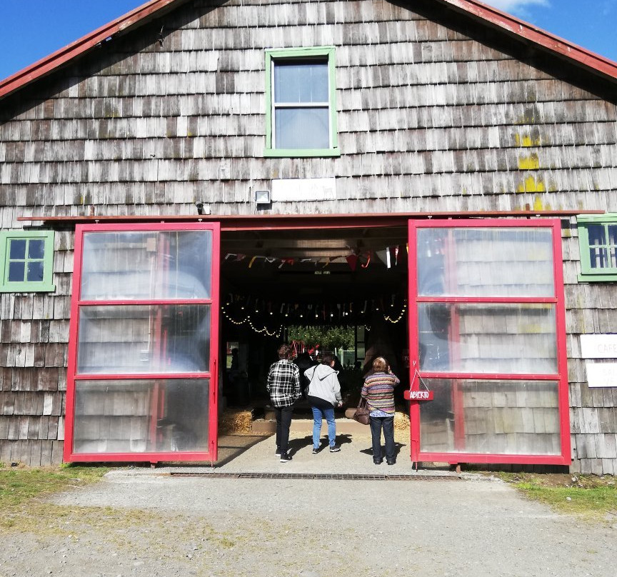 Fundo Playa Venado-巴拉斯港必去景点