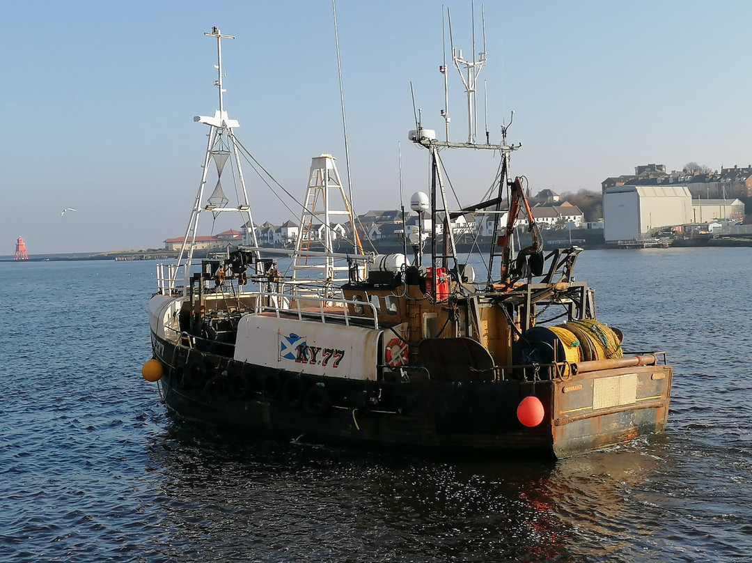 North Shields Fish Quay-North Shields必去景点