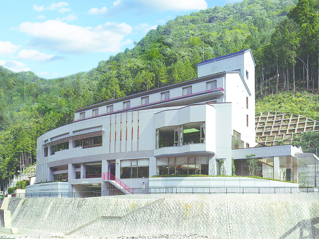 Forest Kamikita主图