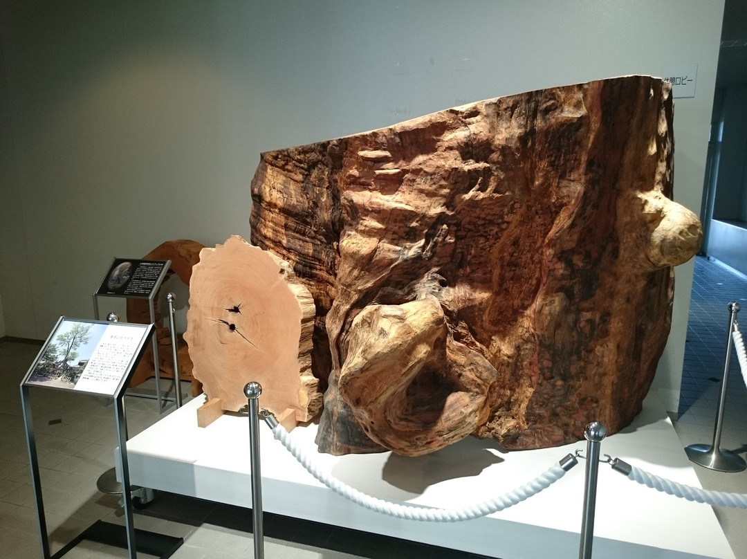 Taruipia Center-垂井町必去景点