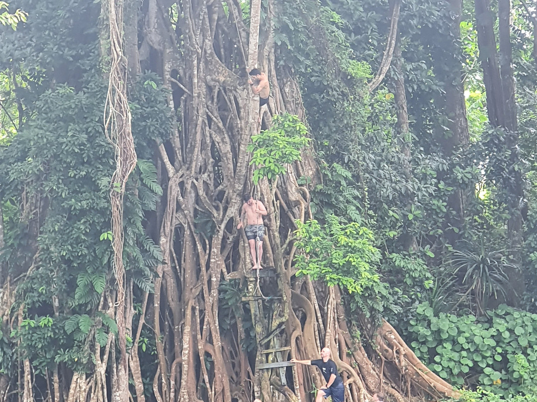 Island Time Kayaking Tours - Day Tours-卢甘维尔必去景点