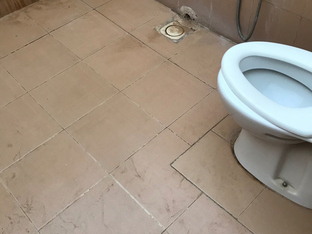 Safari Desert Camp主图