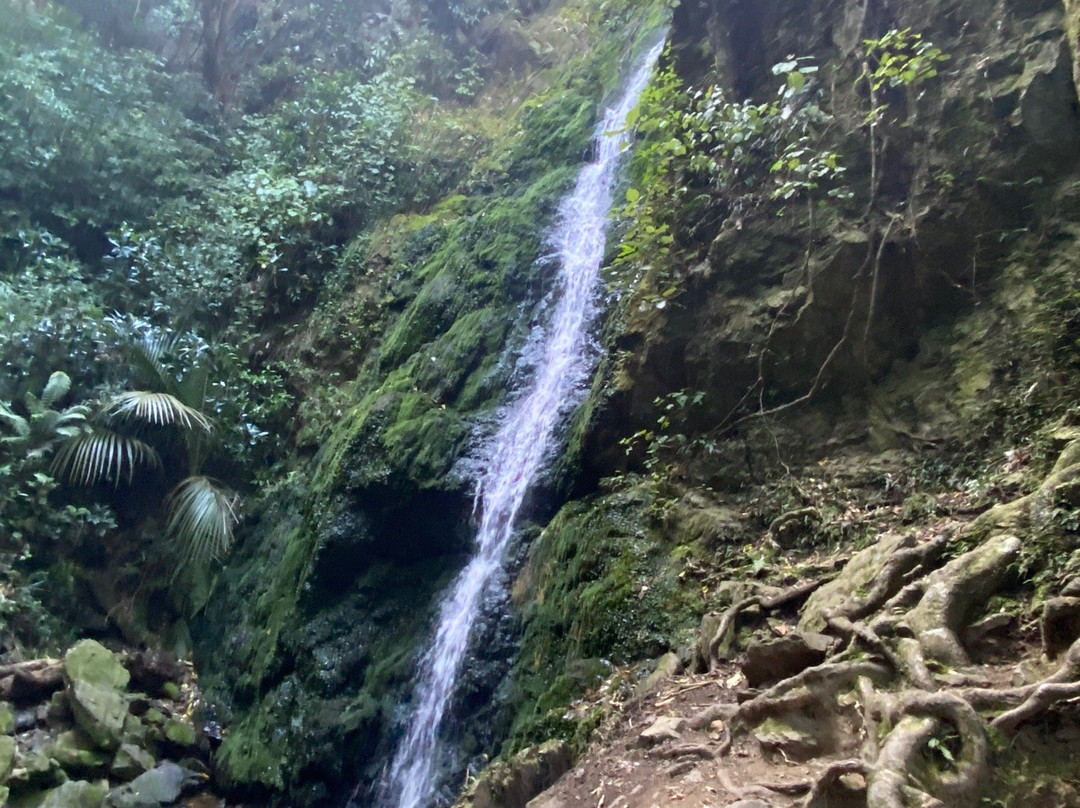 Percy Waterfall景点图片