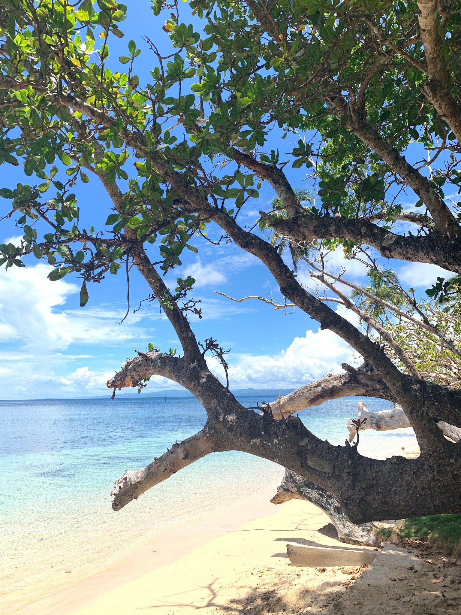Lawaki Beach House-官方