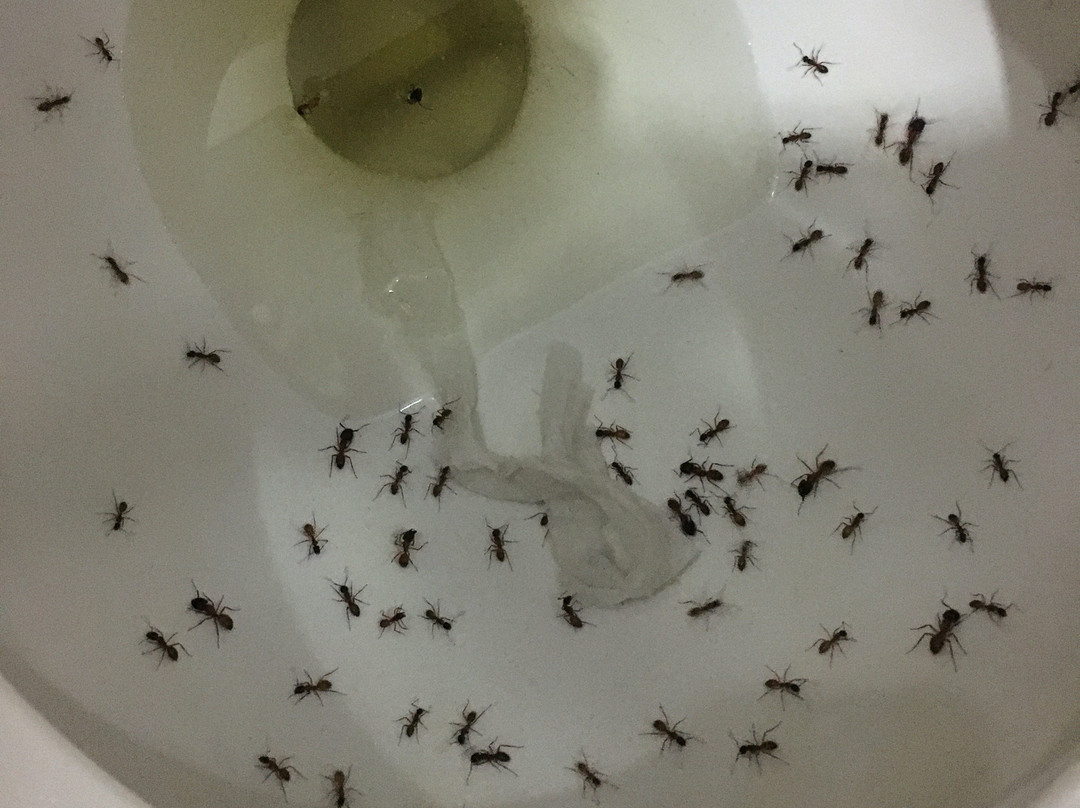 Canon de La Vieja Lodge主图