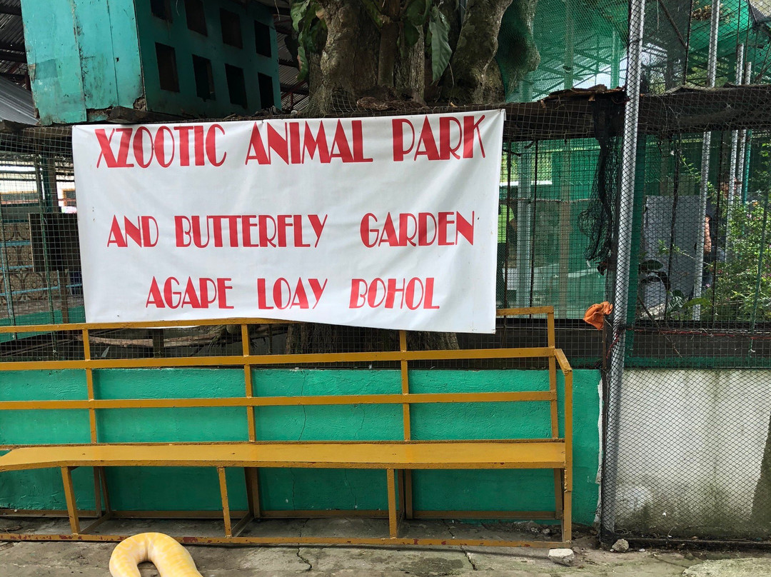 Xzootic Animal Park景点图片
