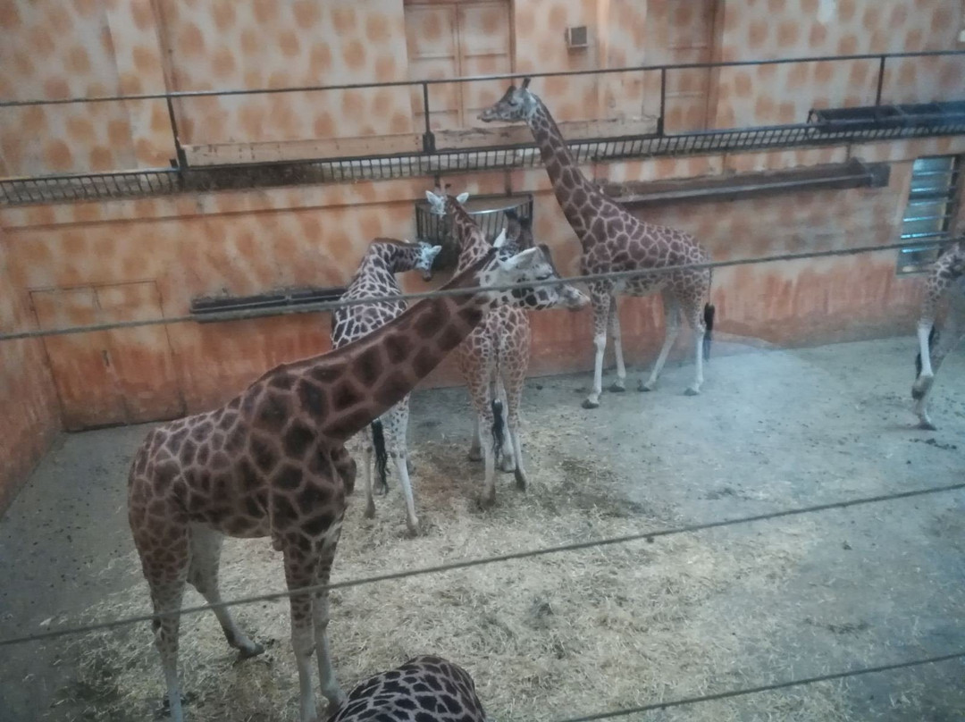 Zoo Olomouc景点图片