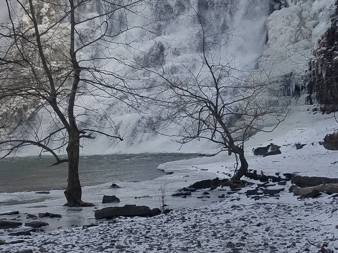 Ithaca Falls Natural Area景点图片