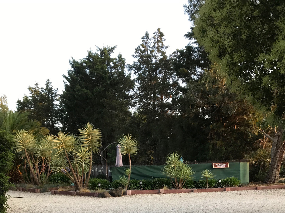 Comfort Inn Coach & Bushmans主图