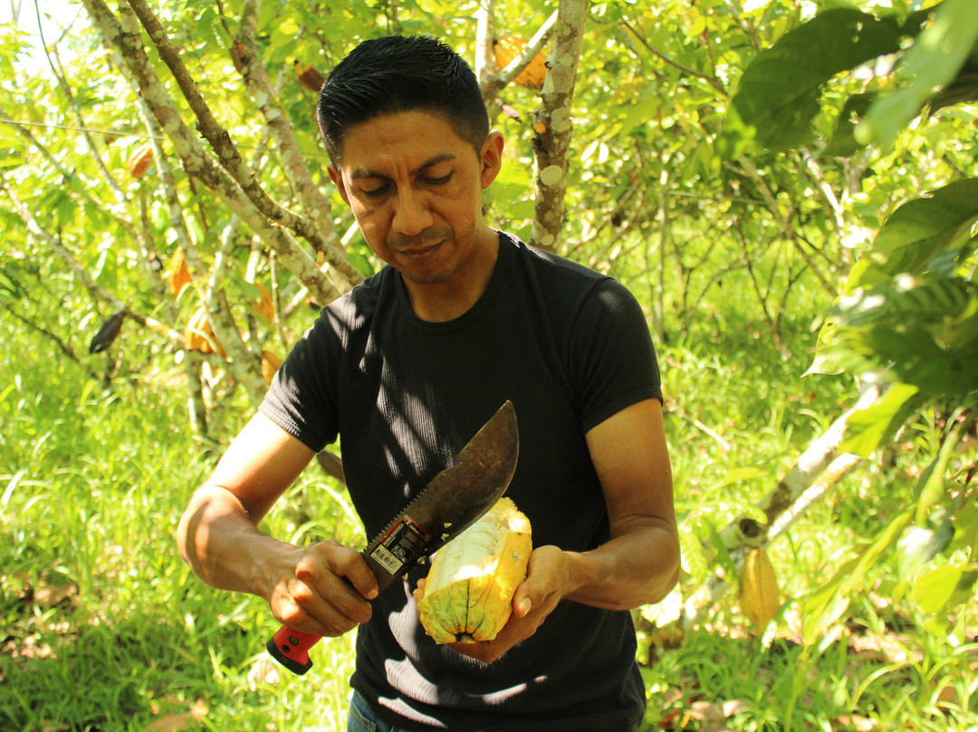 Kallari-Tena必去景点