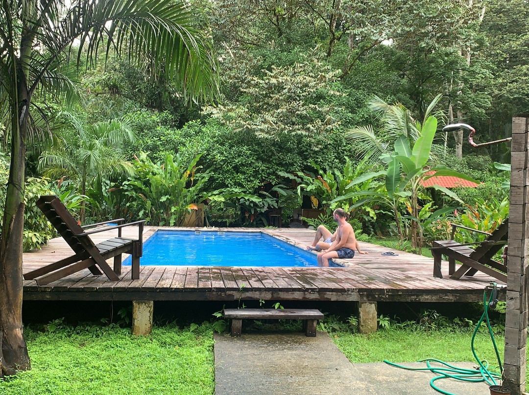 The Monkey Bowl主图