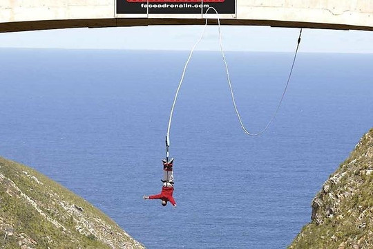 Tycoon Africano DMC Pty Ltd