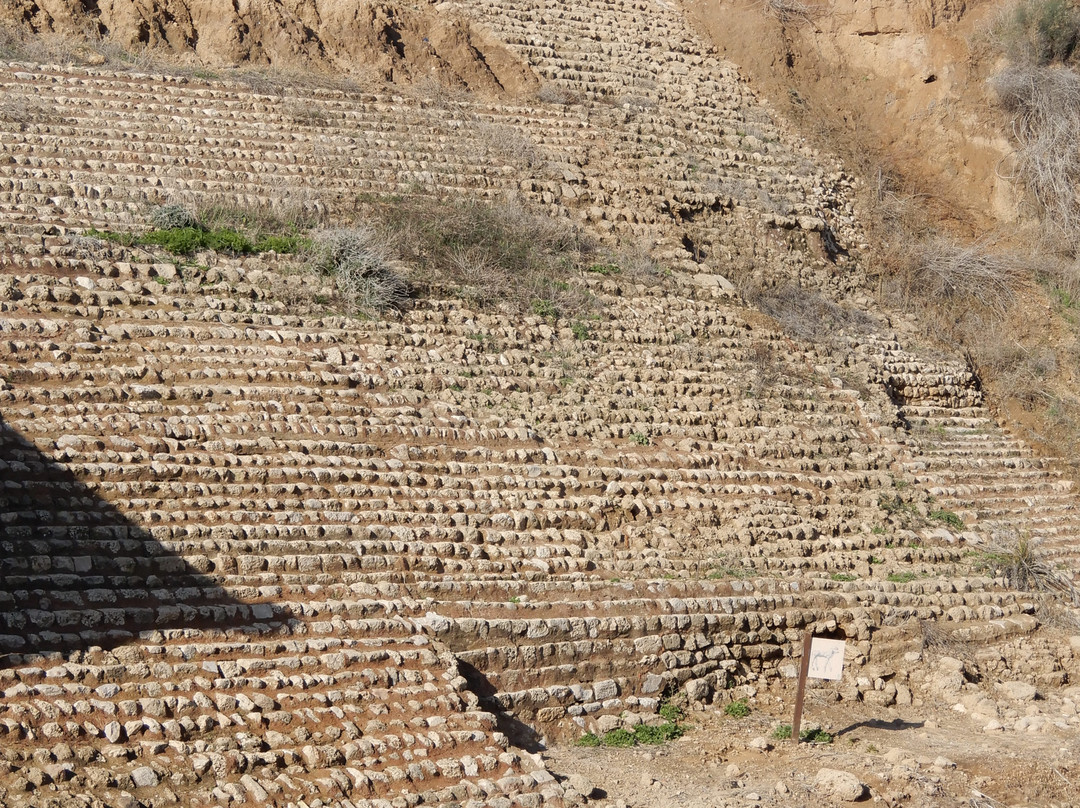 Ashkelon national park景点图片