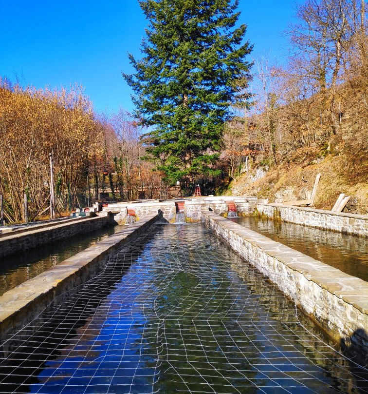 In Quiete Cooperativa景点图片