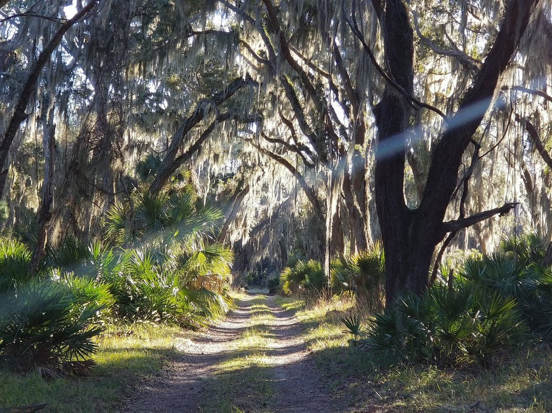 Hog Hammock-Sapelo Island必去景点