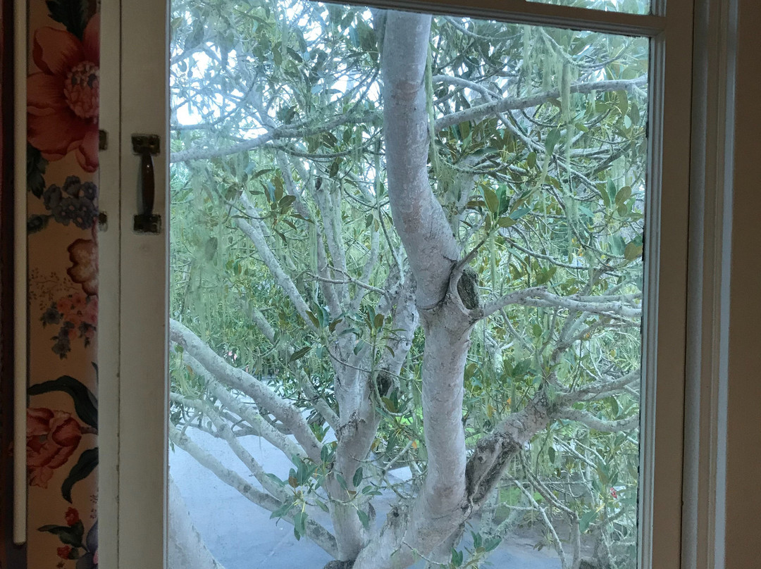 蝴蝶格罗夫旅馆主图