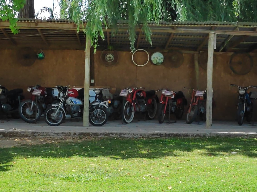 Museo de Motos Clásicas Gosan Class-Las Cabras必去景点