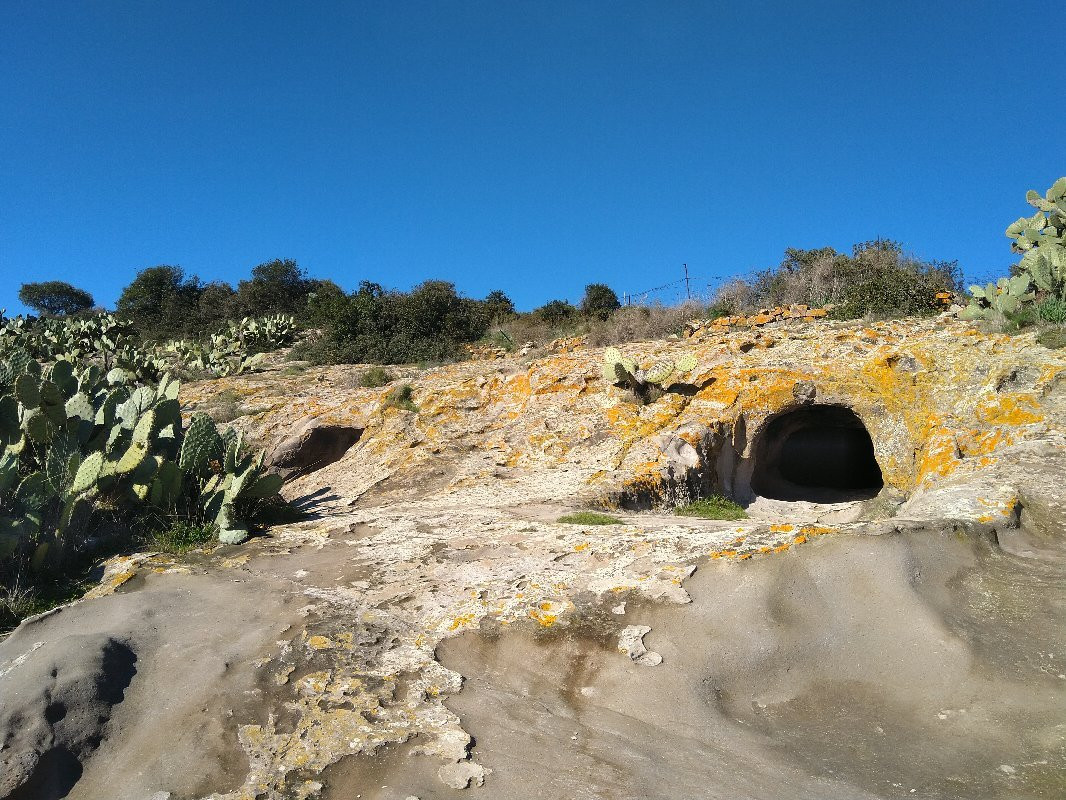 Necropoli di Sas Concas-Oniferi必去景点