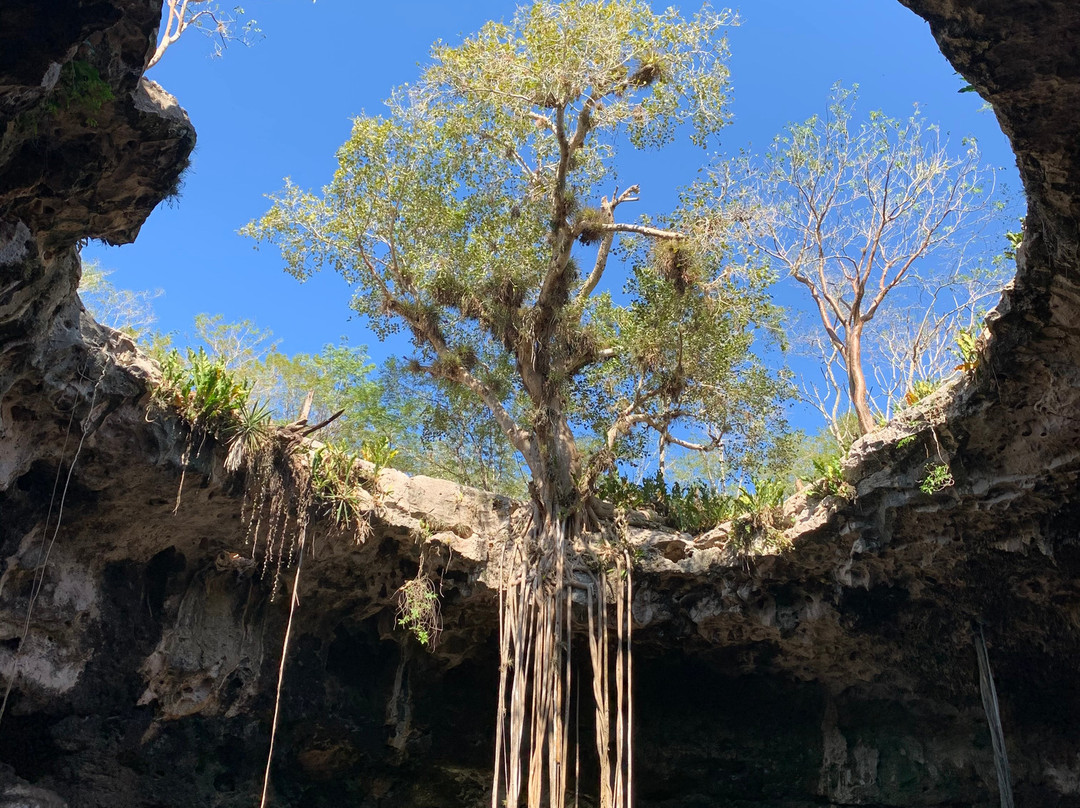 Iguana Maya Travel-梅里达必去景点
