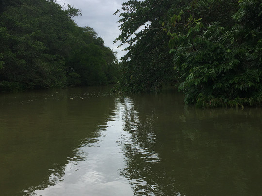 Costa Rica Caribe Tours-利蒙港必去景点