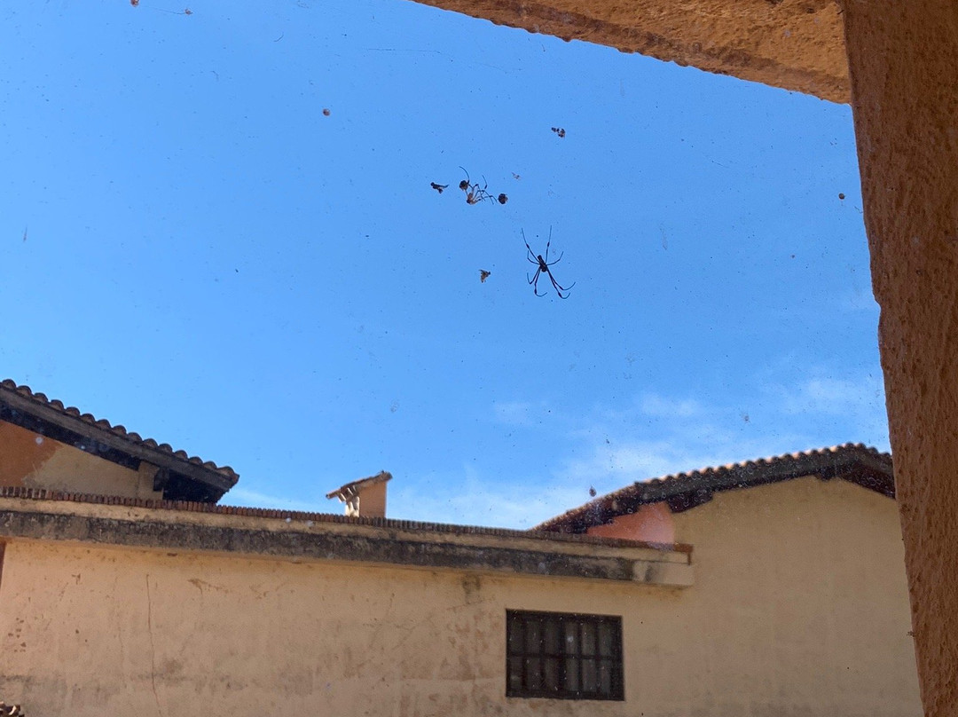 Hotel Danza Del Sol主图