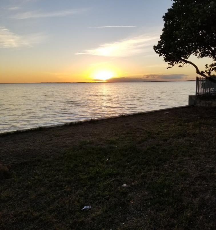 Bayshore Live Oak Park-夏洛特港必去景点