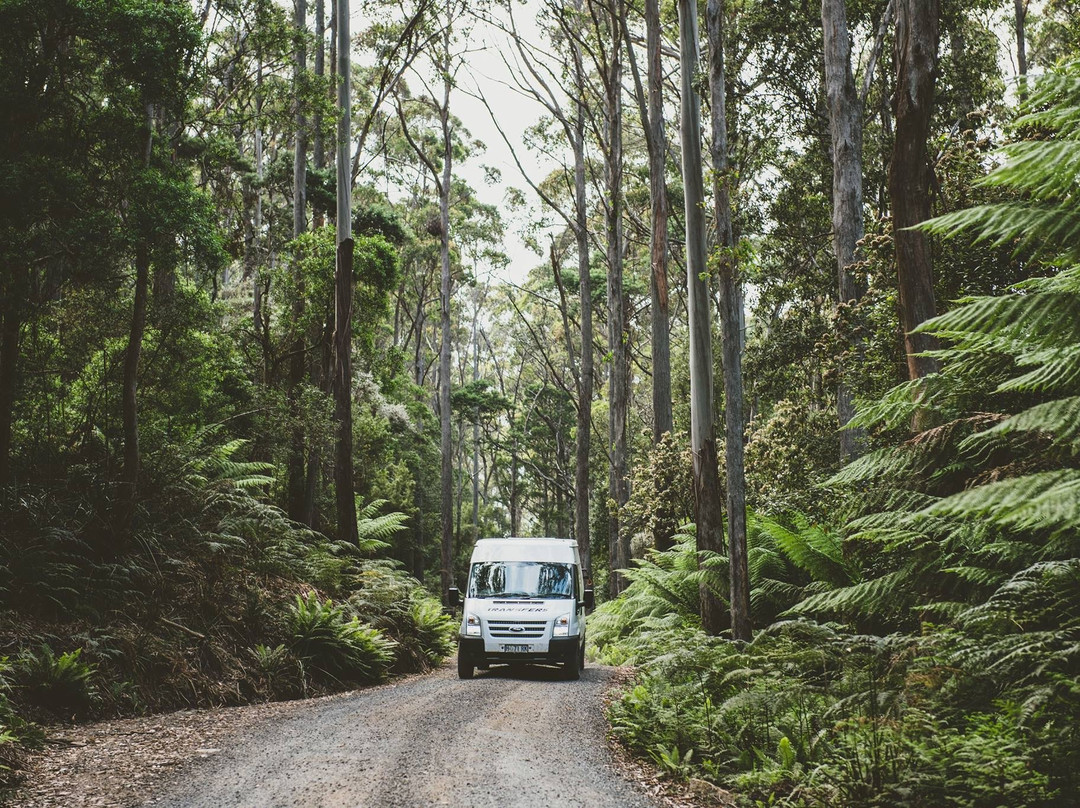 Premium MTB Transfers Tasmania景点图片