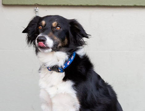 阿斯克及铁路宾馆主图