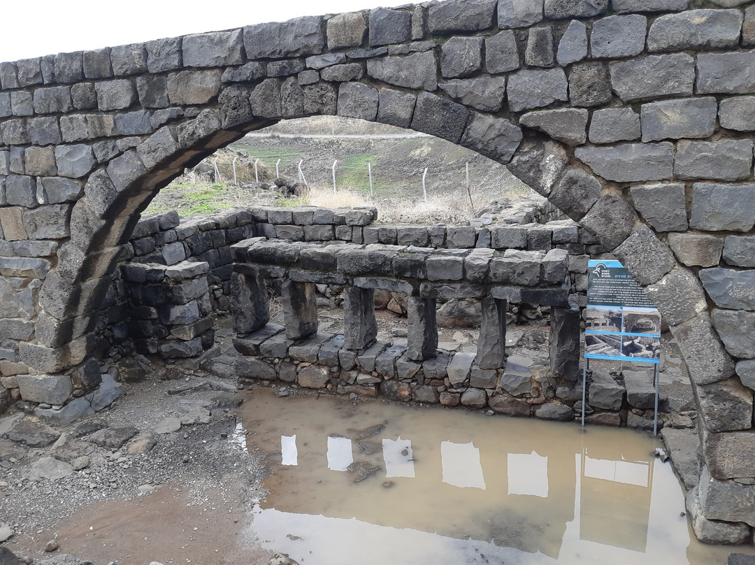 Korazim National Park-Capernaum必去景点