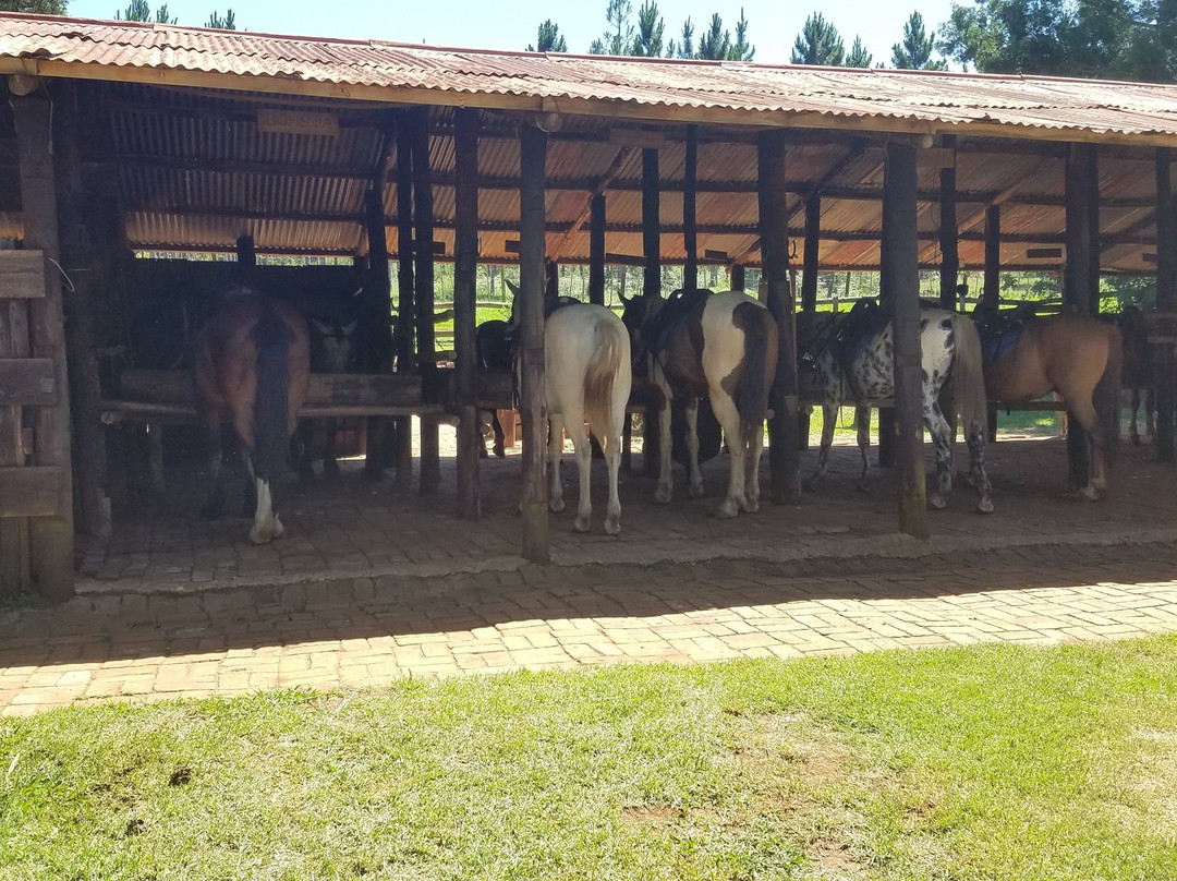 Kaapsehoop Horse Trails Volunteer Project-Kaapsehoop必去景点