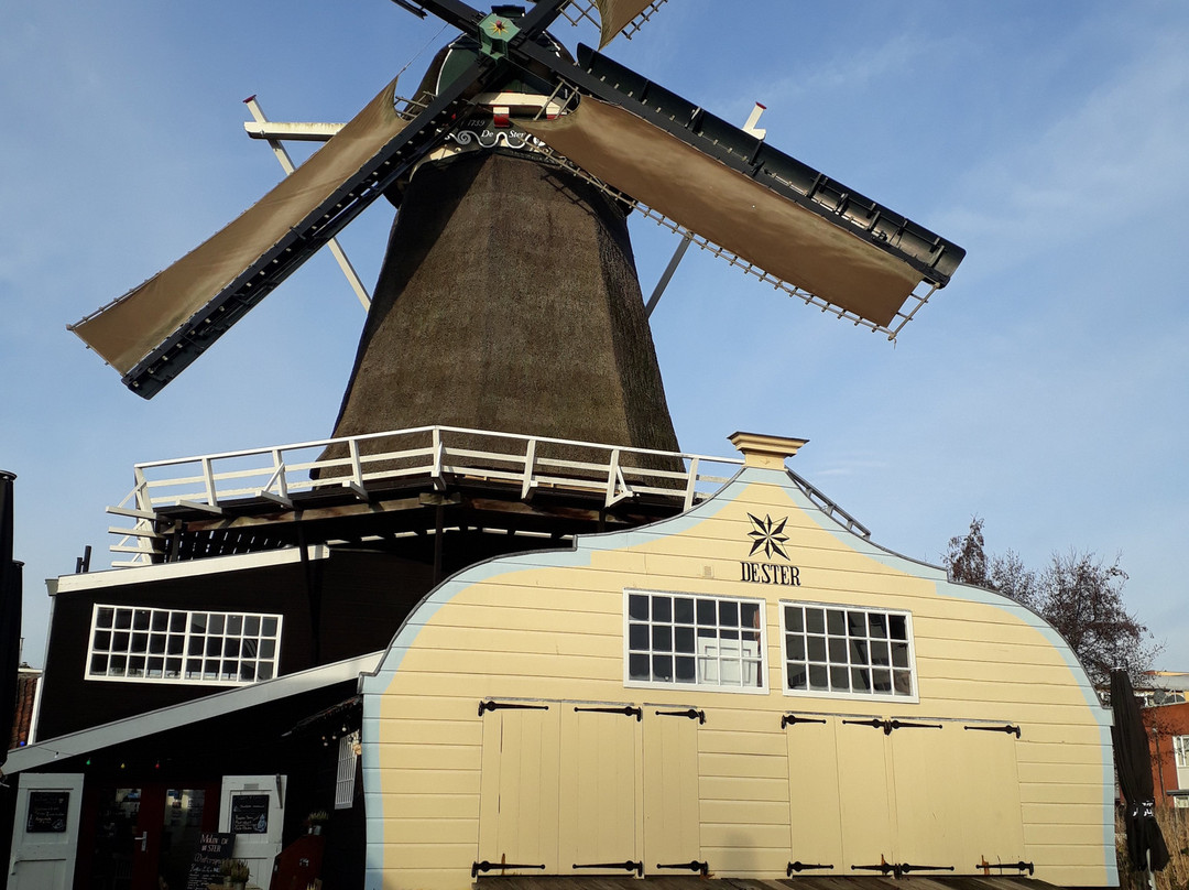 Houtzaagmolen De Ster景点图片