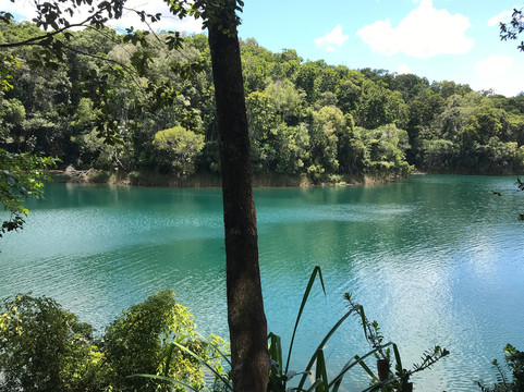 Rainforest Spirit Tours-凯恩斯必去景点