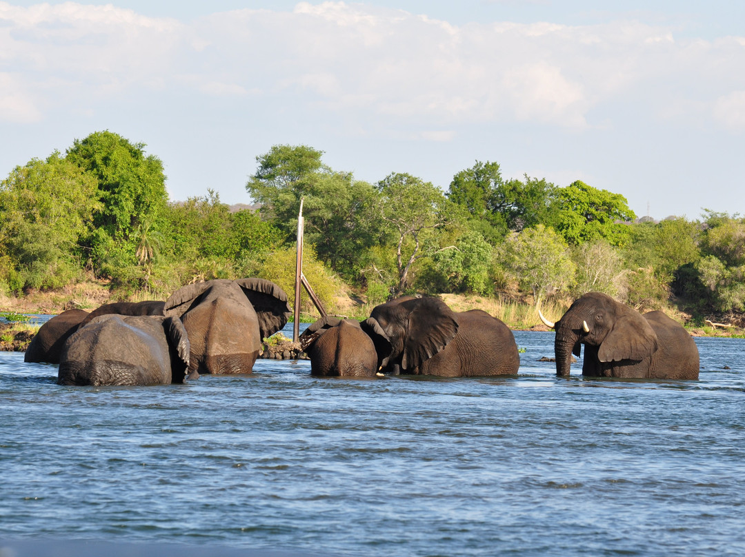 Victoria Falls River Safaris-李文斯顿必去景点