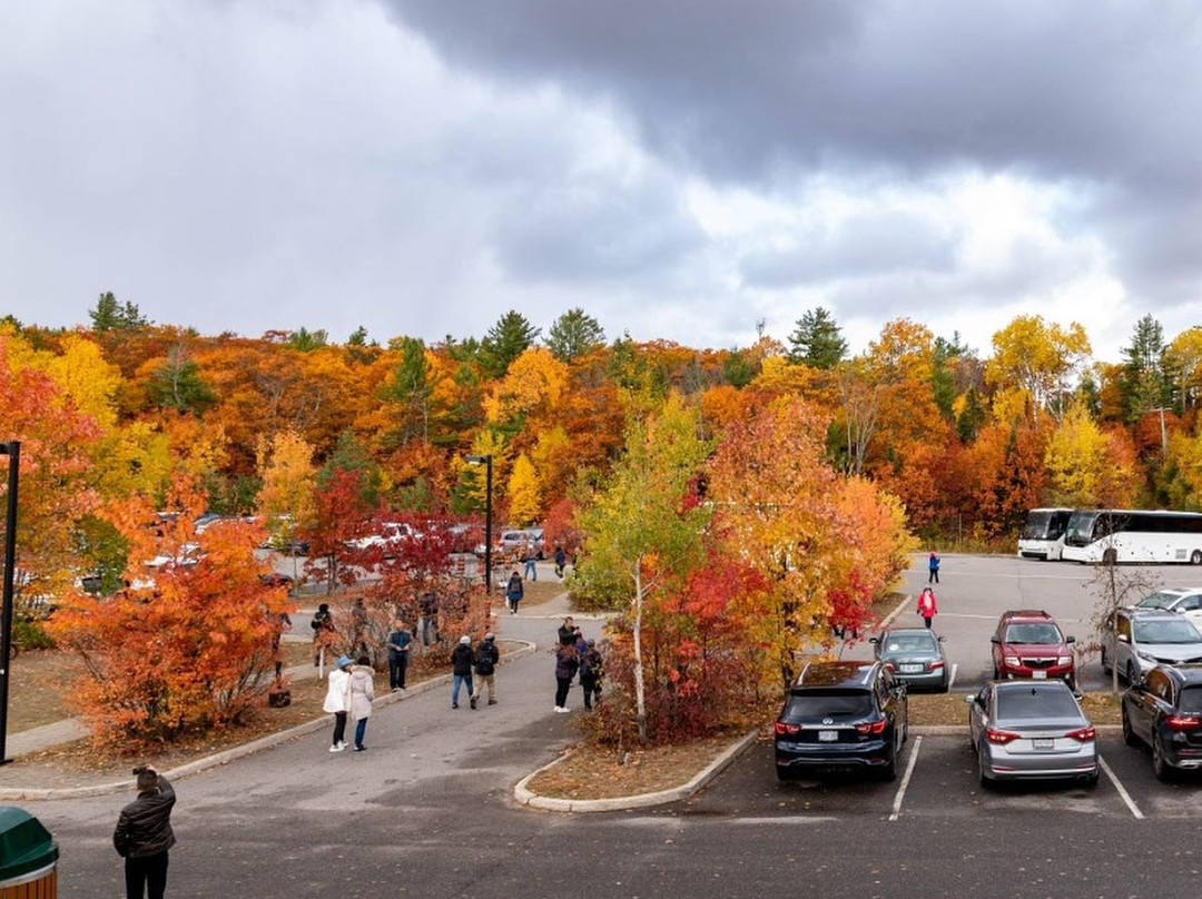 Algonquin Visitor Centre景点图片