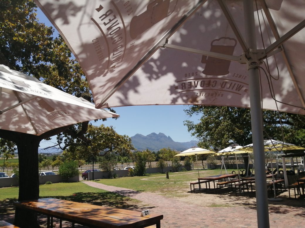 Wild Clover Breweries-斯泰伦博斯必去景点