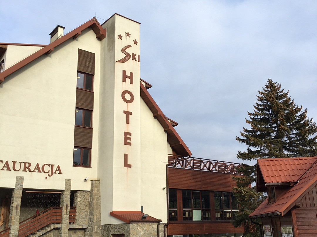 Ski Hotel主图