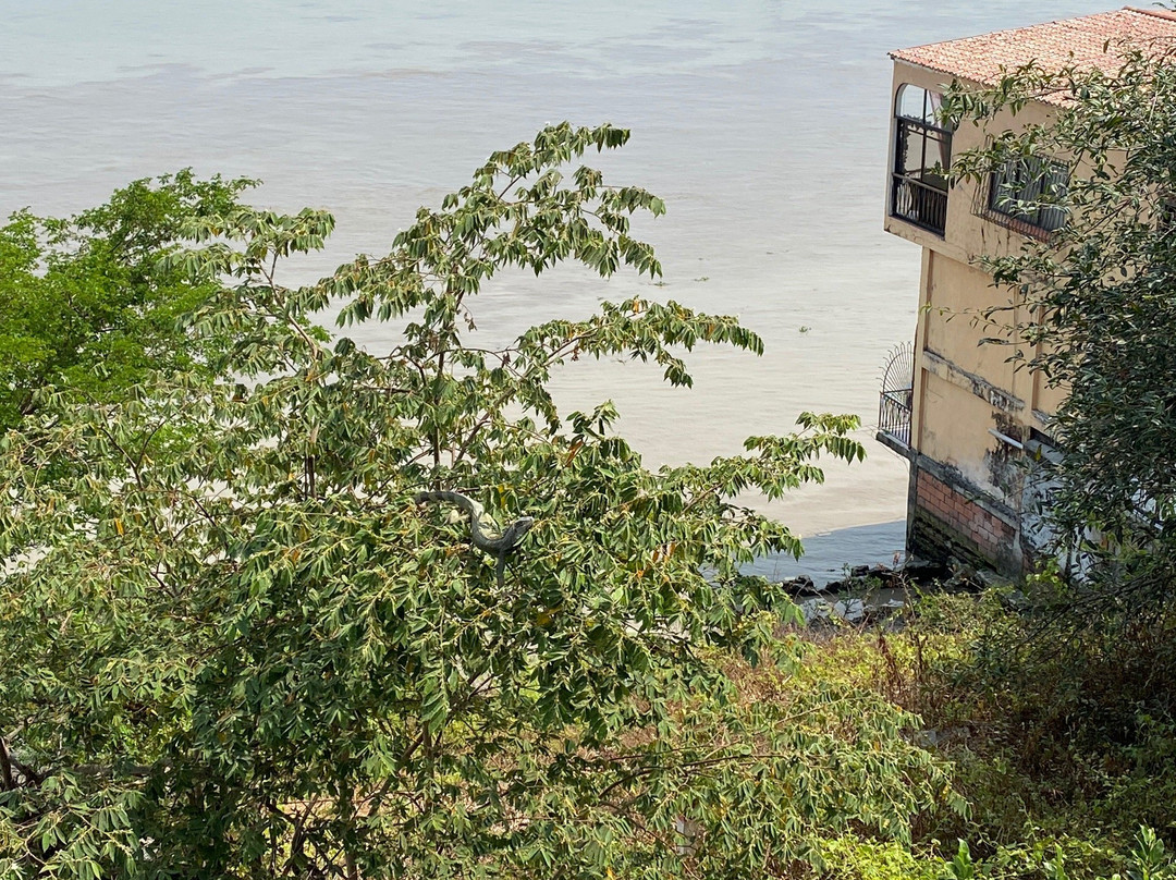 Black Castle Guesthouse主图