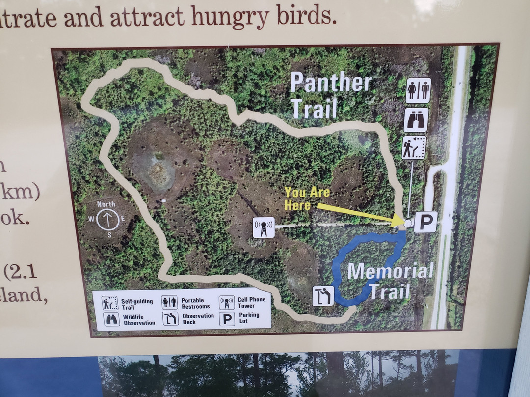 美洲狮国家野生动物保护区-Immokalee必去景点