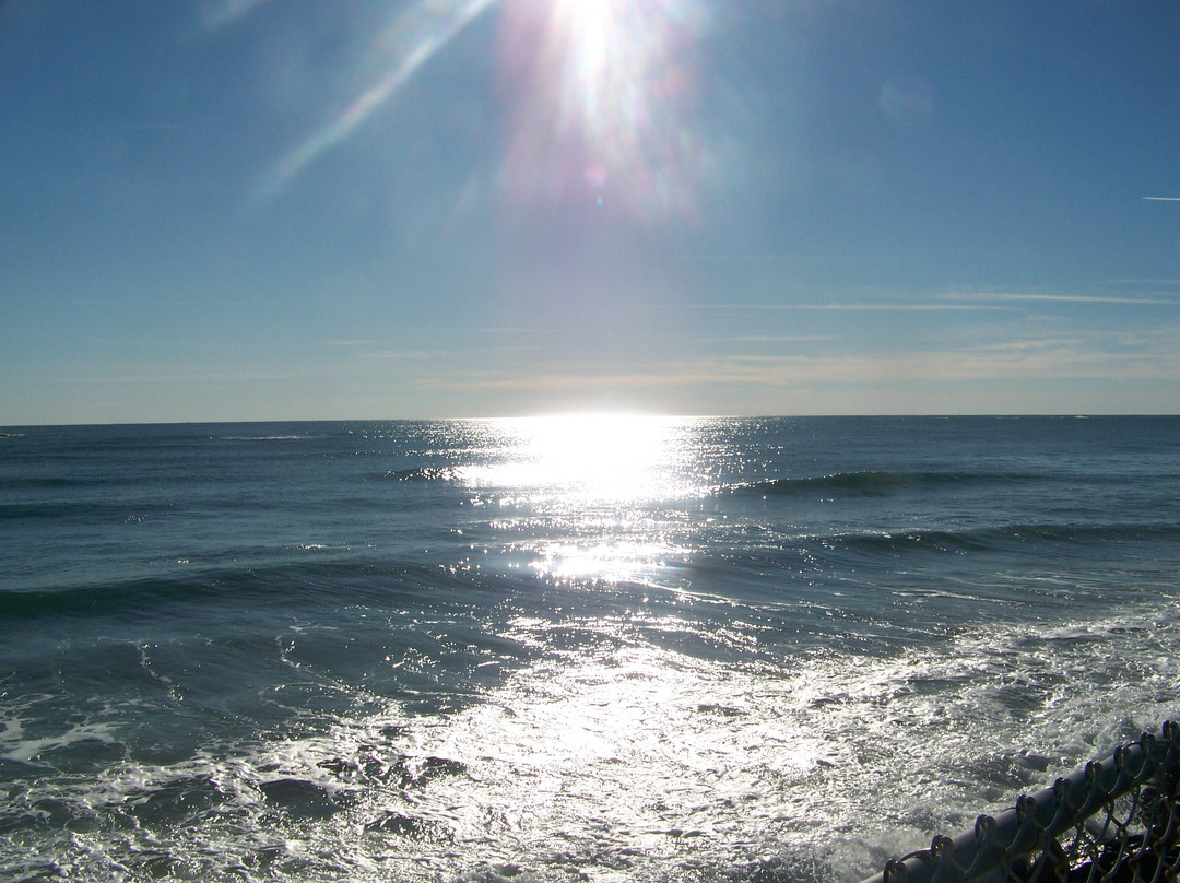 Cutty Sark Motel主图