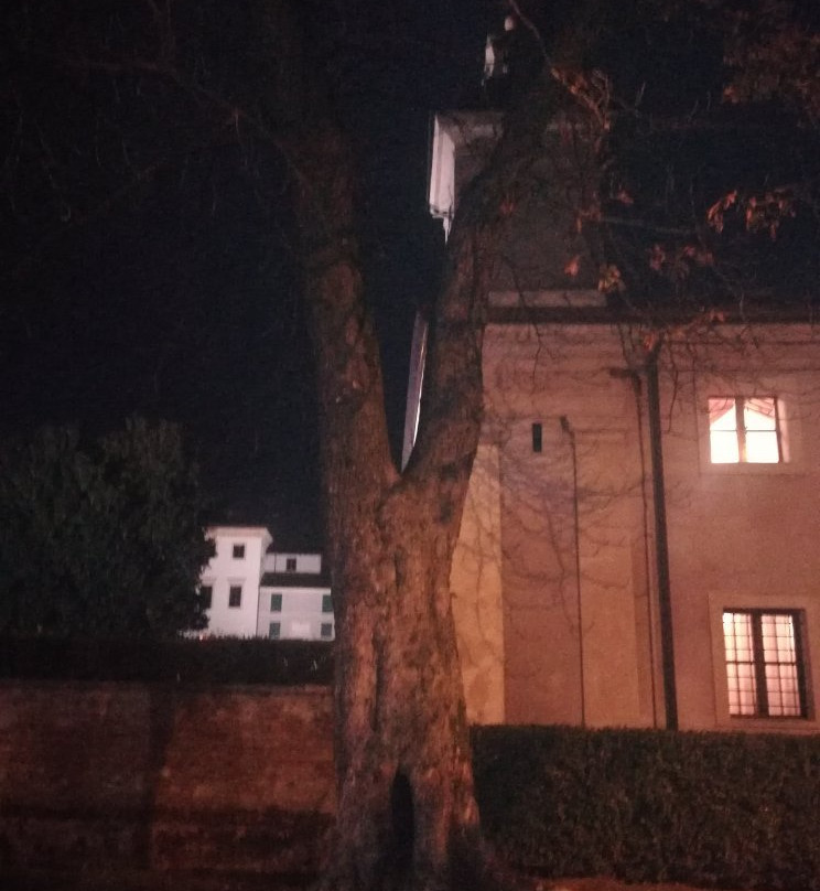 Villa Pindemonte景点图片