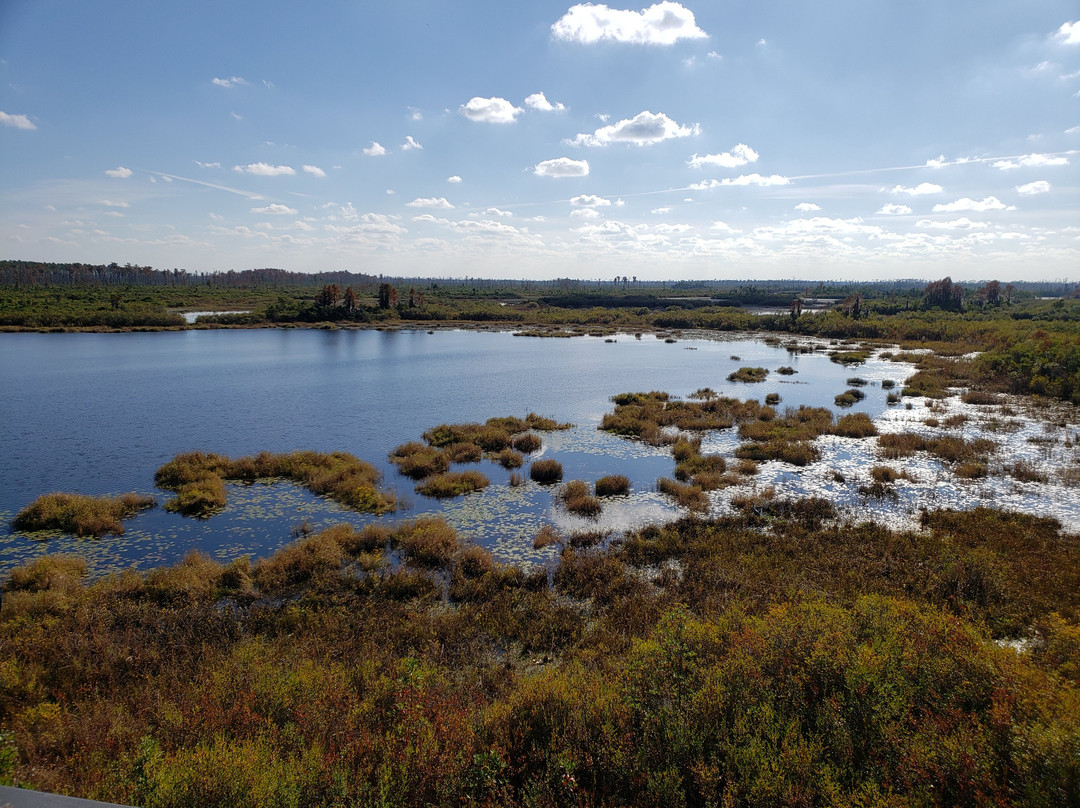 Chesser Island Homestead/Boardwalk-Folkston必去景点