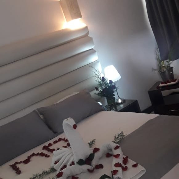 Hotel Silvestre主图