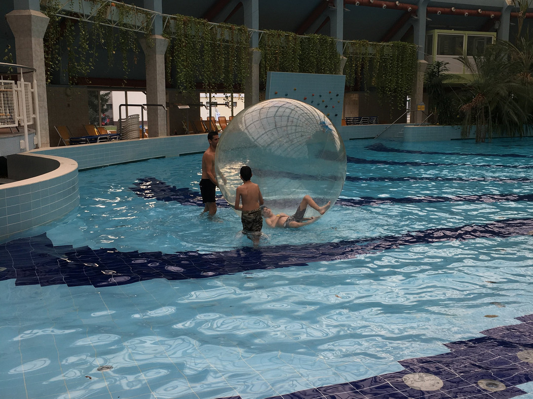 Aquaticum Debrecen景点图片