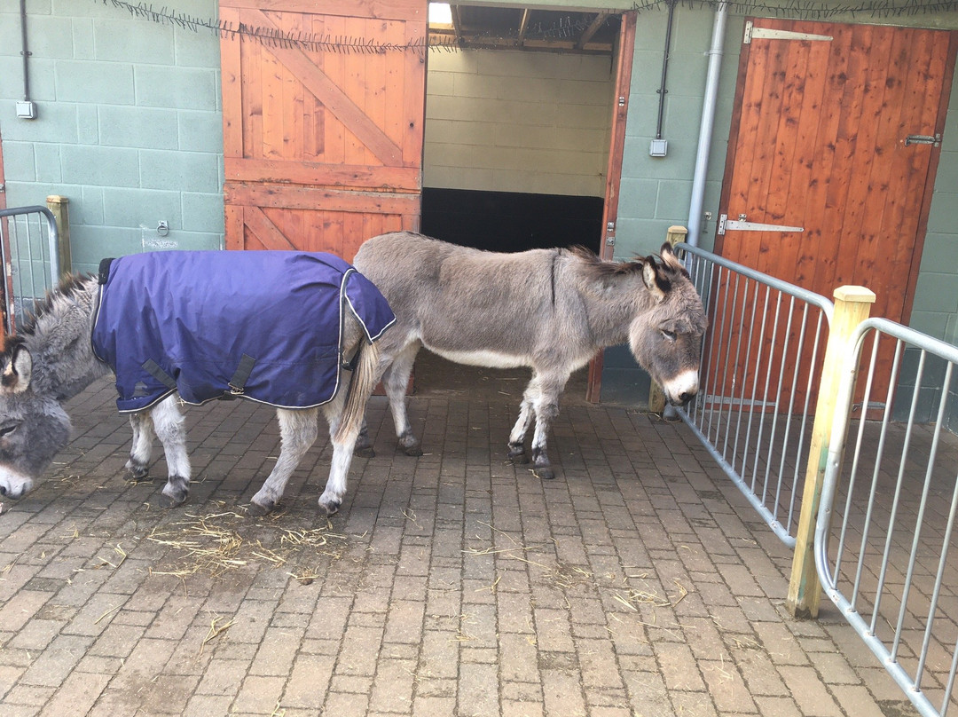 The Wonkey Donkey Visitors Centre景点图片