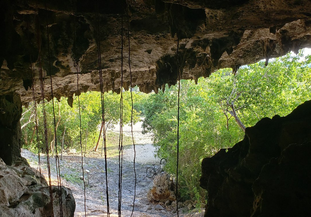 Cayman Brac Caves景点图片